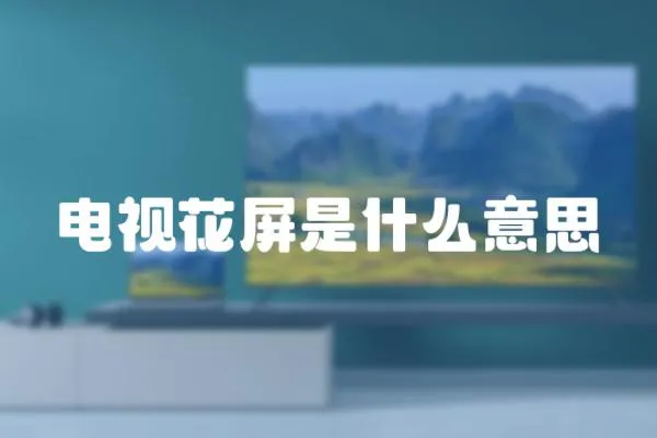 電視花屏是什么意思