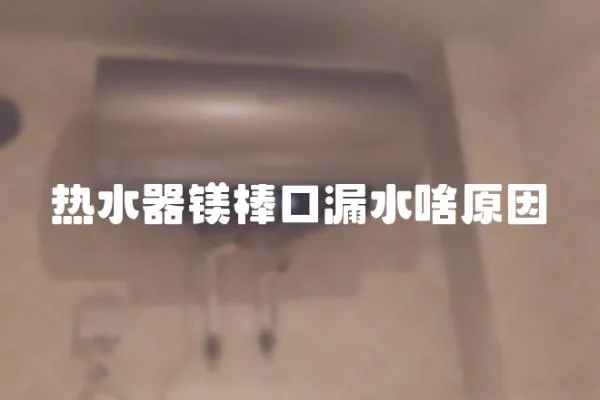 熱水器鎂棒口漏水啥原因