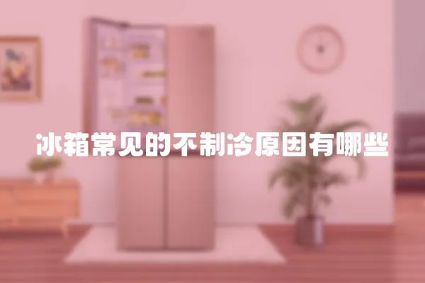 冰箱常見的不制冷原因有哪些