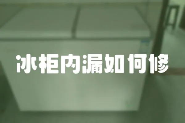 冰柜內(nèi)漏如何修