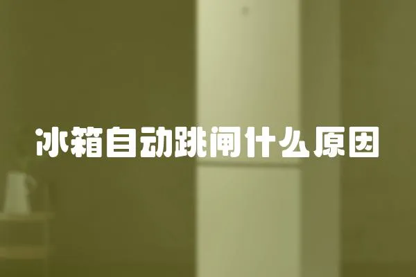 冰箱自動(dòng)跳閘什么原因