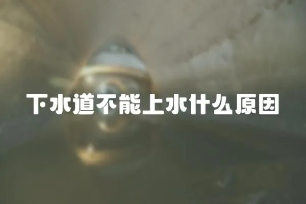 下水道不能上水什么原因