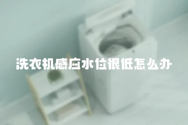 洗衣機感應水位很低怎么辦