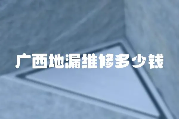 廣西地漏維修多少錢