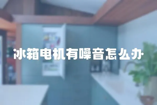 冰箱電機(jī)有噪音怎么辦