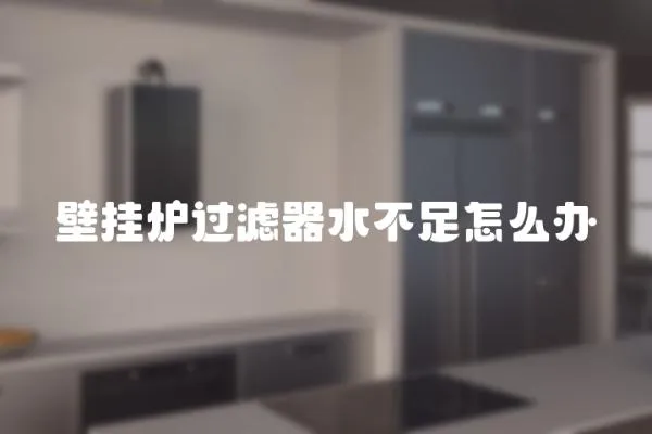 壁掛爐過濾器水不足怎么辦