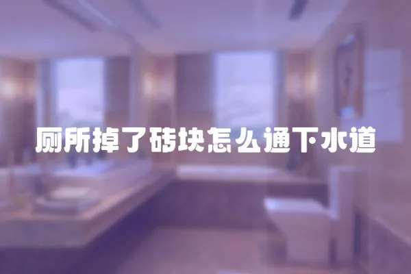 廁所掉了磚塊怎么通下水道