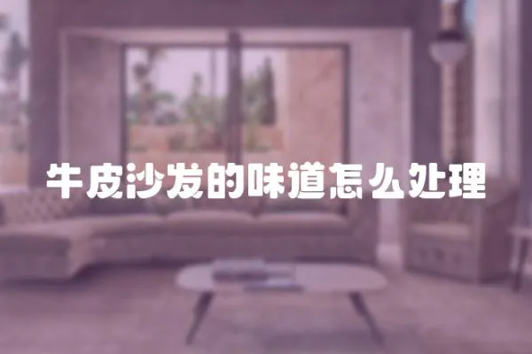 牛皮沙發的味道怎么處理