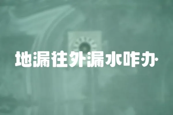 地漏往外漏水咋辦