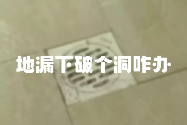 地漏下破個洞咋辦