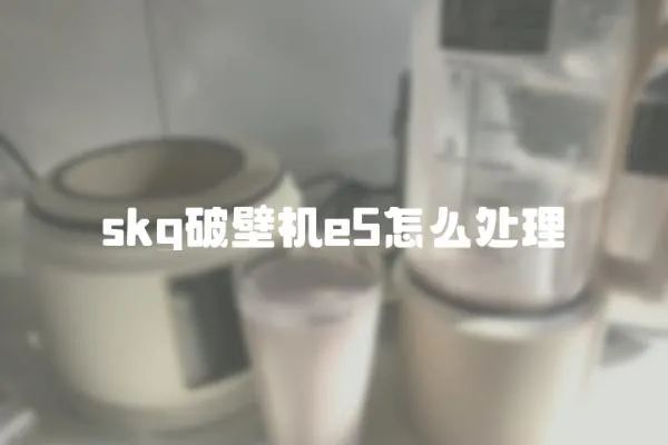 skg破壁機e5怎么處理