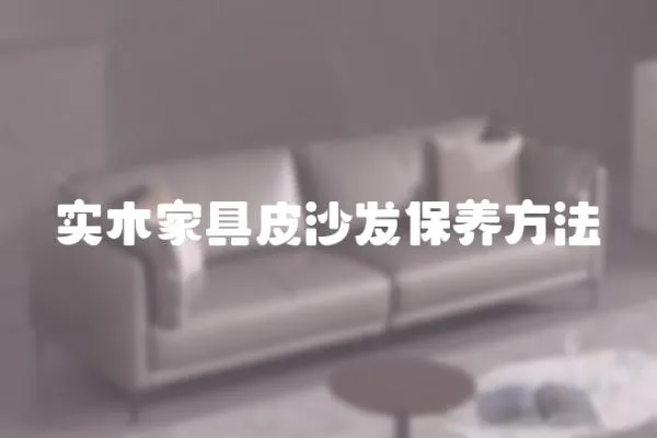 實木家具皮沙發保養方法
