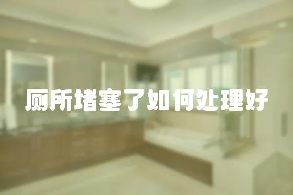 廁所堵塞了如何處理好