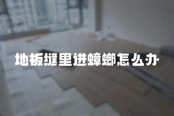 地板縫里進(jìn)蟑螂怎么辦