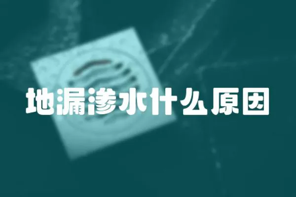 地漏滲水什么原因