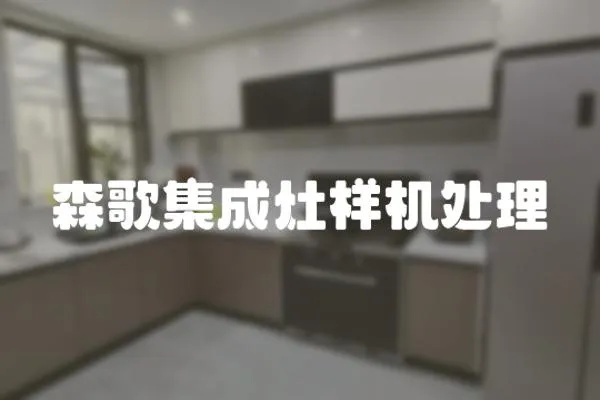 森歌集成灶樣機處理
