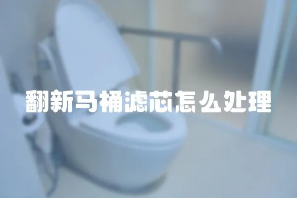 翻新馬桶濾芯怎么處理