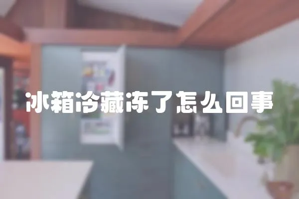 冰箱冷藏凍了怎么回事
