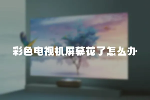 彩色電視機屏幕花了怎么辦