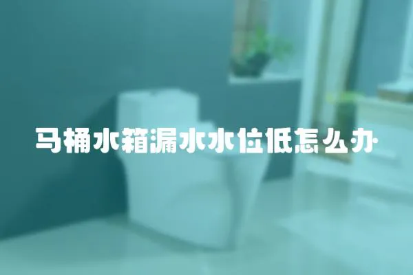 马桶水箱漏水水位低怎么办