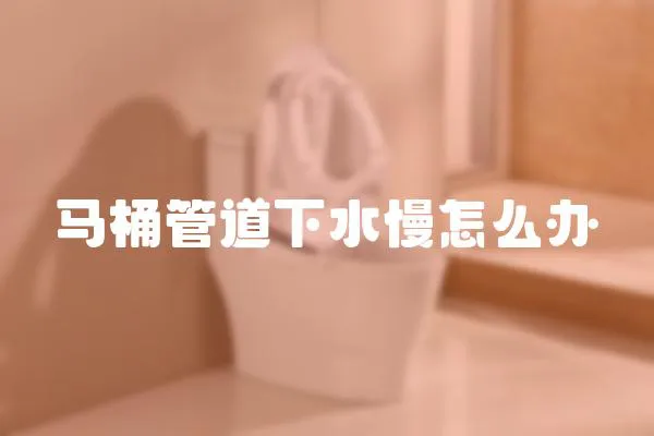 馬桶管道下水慢怎么辦