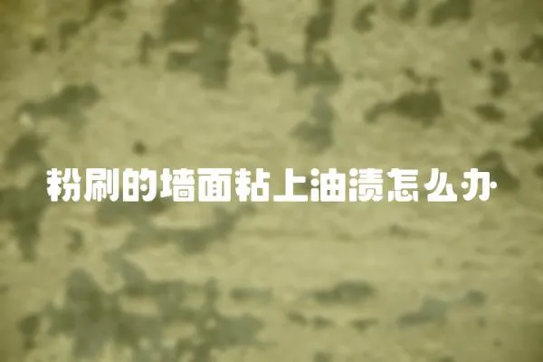粉刷的墻面粘上油漬怎么辦