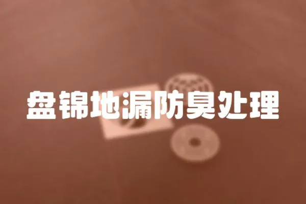 盤錦地漏防臭處理