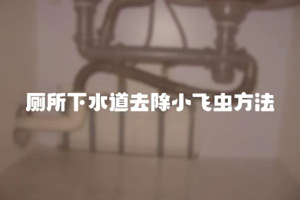 廁所下水道去除小飛蟲方法