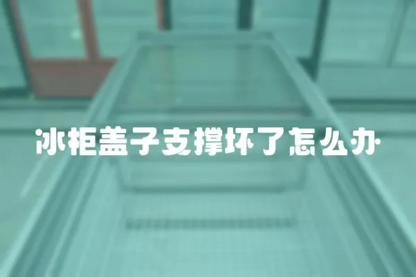 冰柜蓋子支撐壞了怎么辦
