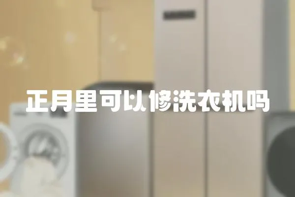 正月里可以修洗衣機嗎