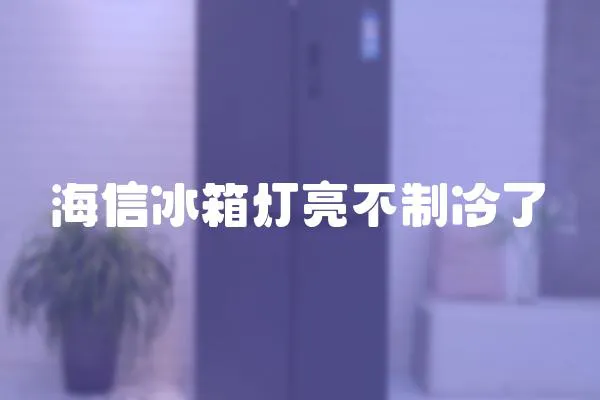 海信冰箱燈亮不制冷了