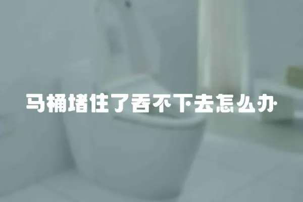馬桶堵住了吞不下去怎么辦