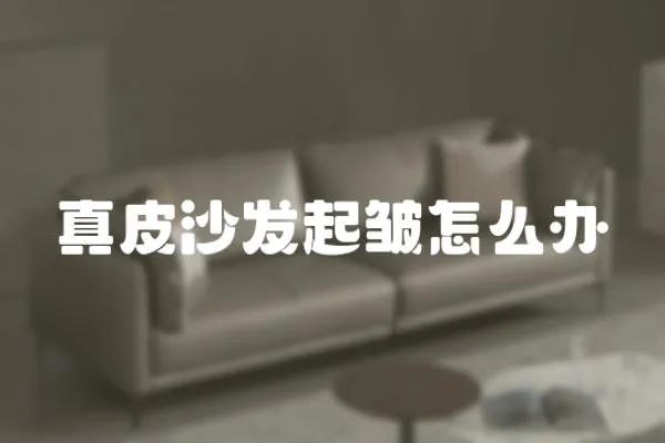 真皮沙發起皺怎么辦