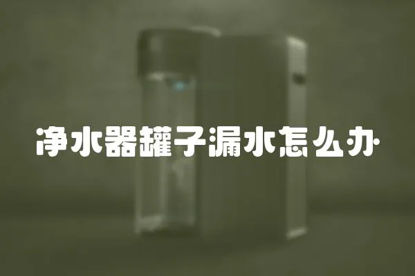 凈水器罐子漏水怎么辦