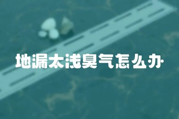 地漏太淺臭氣怎么辦