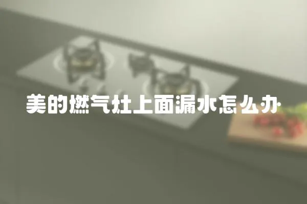 美的燃氣灶上面漏水怎么辦