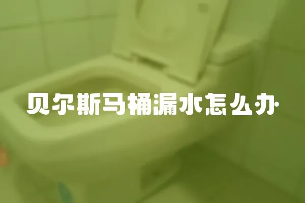 贝尔斯马桶漏水怎么办