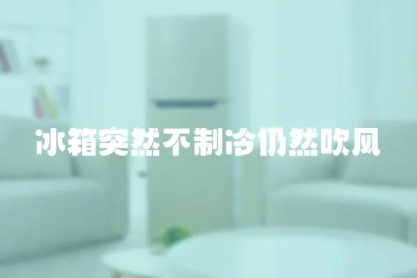 冰箱突然不制冷仍然吹風(fēng)