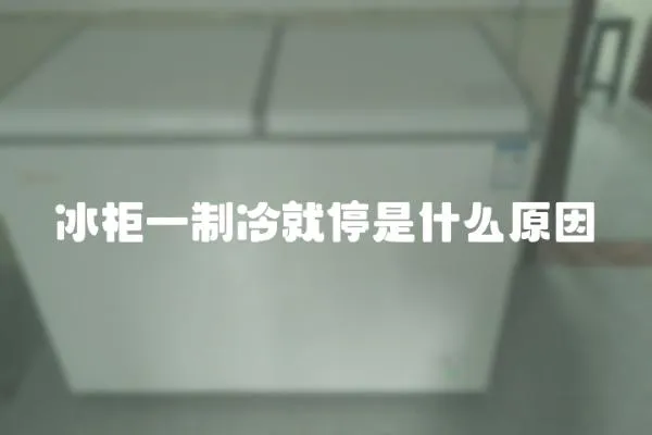 冰柜一制冷就停是什么原因