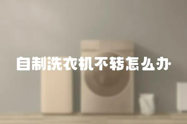 自制洗衣機不轉怎么辦