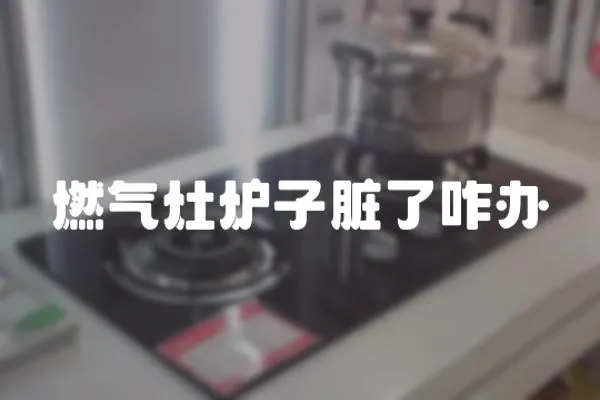 燃氣灶爐子臟了咋辦