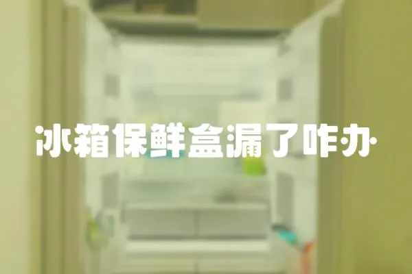冰箱保鮮盒漏了咋辦
