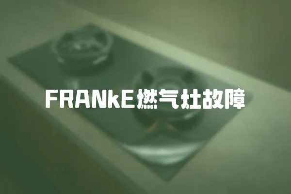 FRANkE燃?xì)庠罟收?></a></div>
                    <div   id=