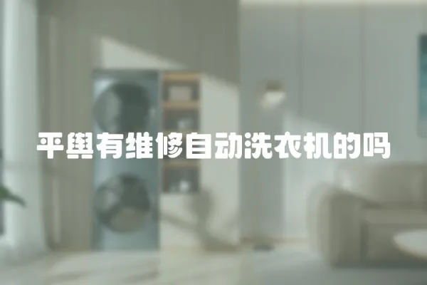 平輿有維修自動(dòng)洗衣機(jī)的嗎
