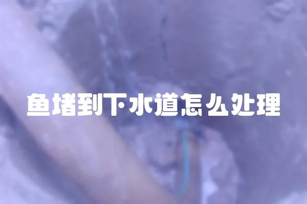 魚堵到下水道怎么處理