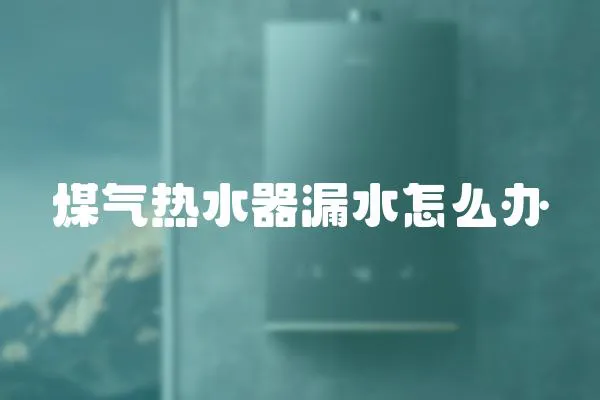 煤氣熱水器漏水怎么辦