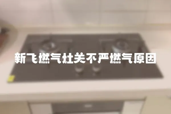 新飛燃氣灶關不嚴燃氣原因