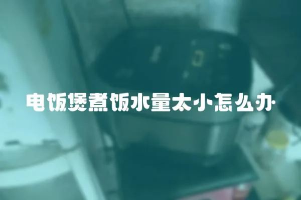 電飯煲煮飯水量太小怎么辦
