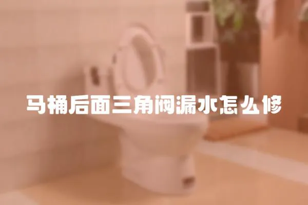 馬桶后面三角閥漏水怎么修