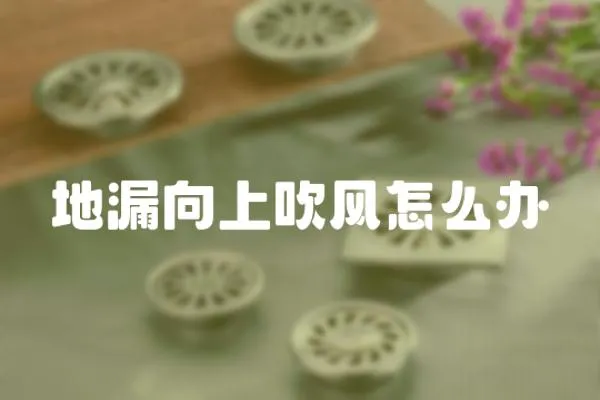 地漏向上吹風怎么辦